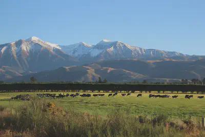 Southern Alps of New Zealand as seen from the TransAlpine train